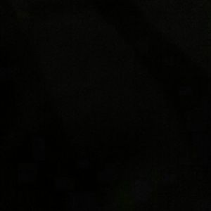 Meet your Posher, Cecilia