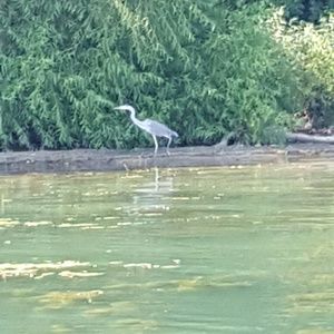 Meet your Posher, Jody