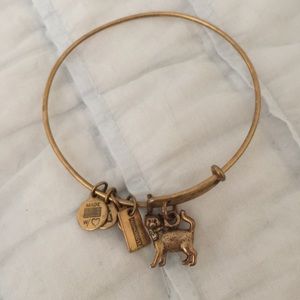 Alex & Ani cat charm bracelet