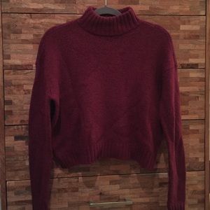 Cropped ruby American Eagle sweater.
