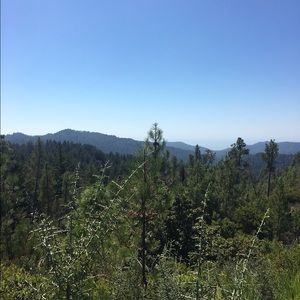 Meet your Posher, Cali