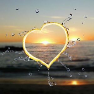 Meet your Posher, Joselin tomlinson