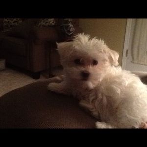 Meet your Posher, Deborah