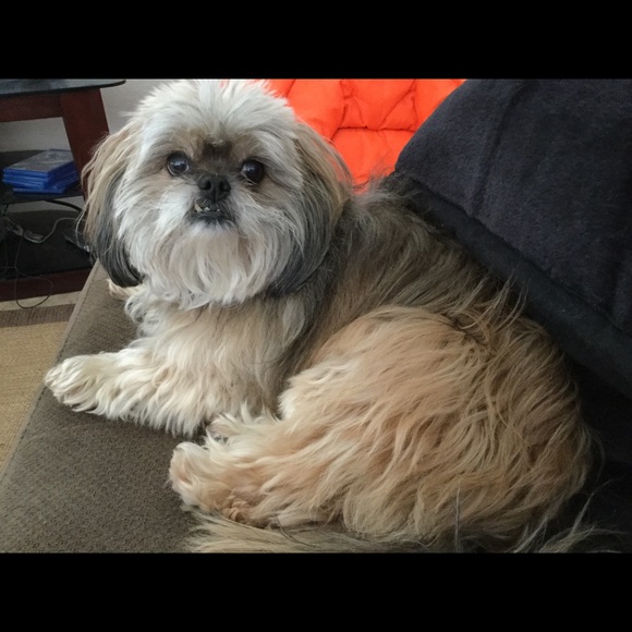 Meet your Posher, Jena