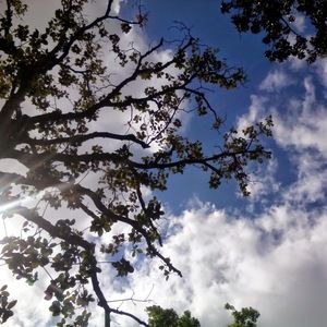 Meet your Posher, Estefania