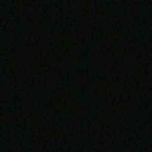 Meet your Posher, Rosa