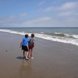 Meet your Posher, Lynn