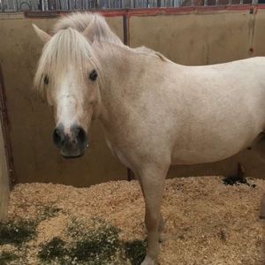 Meet your Posher, Jane