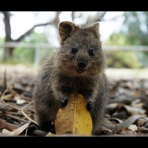 Meet your Posher, Alexandra