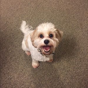 Meet your Posher, Nicholas