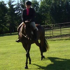 Meet your Posher, Grace