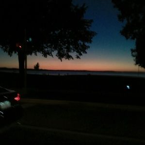 Meet your Posher, Zoey