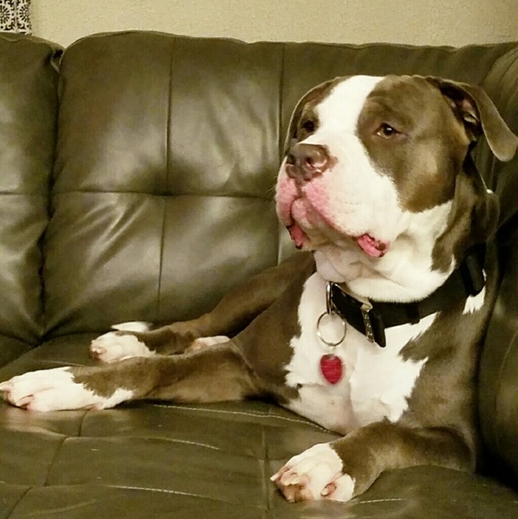 Meet your Posher, Destiny - Picture 1 of 1