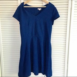 Merona Fitted A-Line Dress!