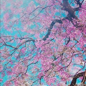 Meet your Posher, Diana