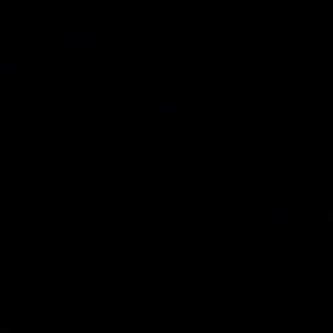 Meet your Posher, Peter