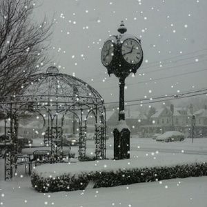 Meet your Posher, Katherine