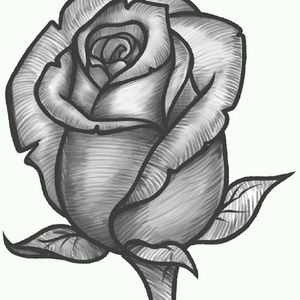 Meet your Posher, Lorinda