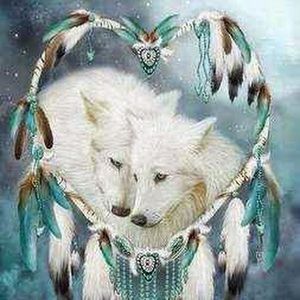 Meet your Posher, Angel