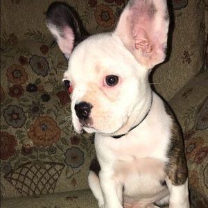 Meet your Posher, Alexis