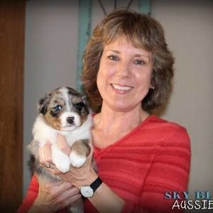 Meet your Posher, Dee