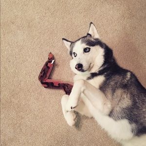 Meet your Posher, Laura