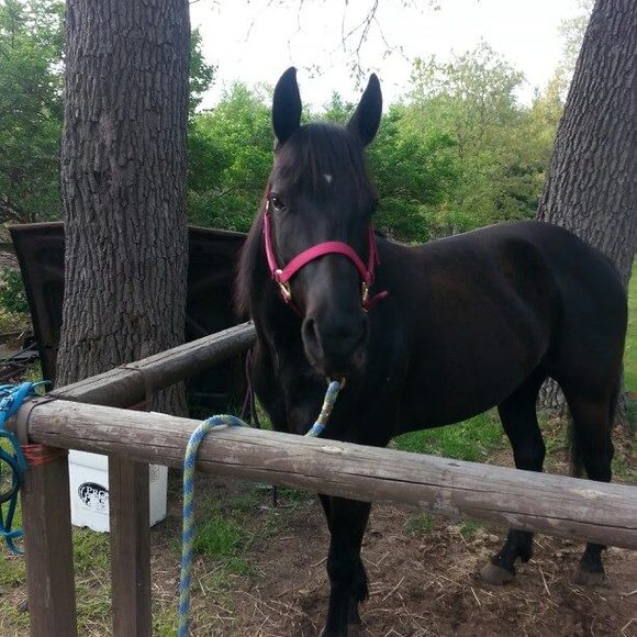 Meet your Posher, Lori