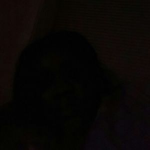 Meet your Posher, Sherry