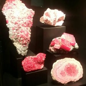 Meet your Posher, Felicita