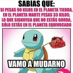 Meet your Posher, Elia