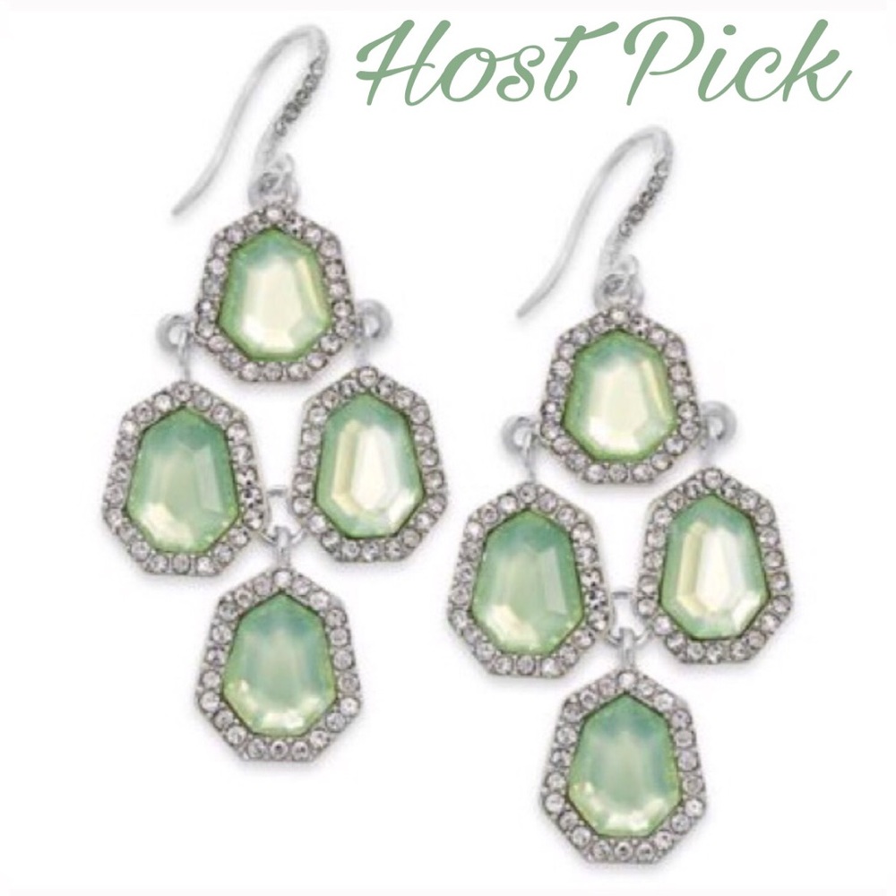 💝HP 3-17-17💝Super Cute Earrings💝
