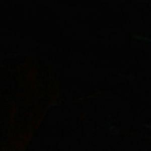 Meet your Posher, Terell