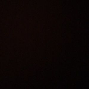 Meet your Posher, Jasmin