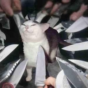 Meet your Posher, Anya