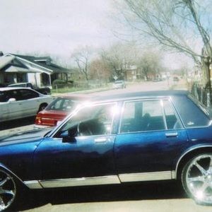 Meet your Posher, Fred