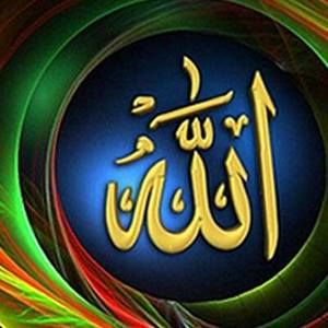 Meet your Posher, Basil