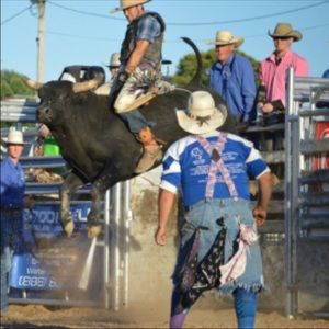 Meet your Posher, Angie