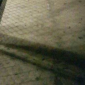 Meet your Posher, Patricia