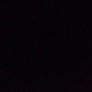 Meet your Posher, Jodie