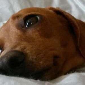 Meet your Posher, Sally