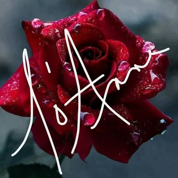 Meet your Posher, Joanne - Picture 1 of 1