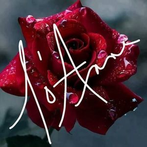 Meet your Posher, Joanne