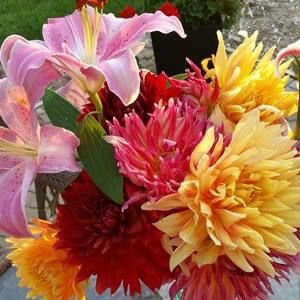 Meet your Posher, Melissa