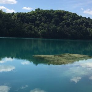 Meet your Posher, Alison