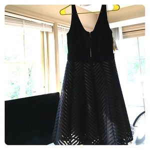NWT Aqua Black and Tan Dress
