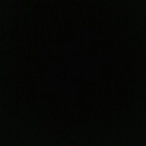 Meet your Posher, Rodrick