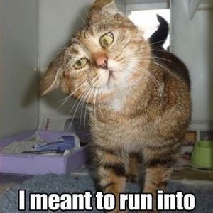 Meet your Posher, Jill