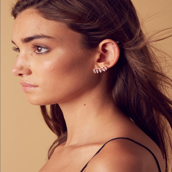 SUPER SALE Rose Gold Luxe Teardrop Earrings - Picture 2 of 4