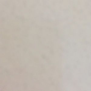 Meet your Posher, Mariah