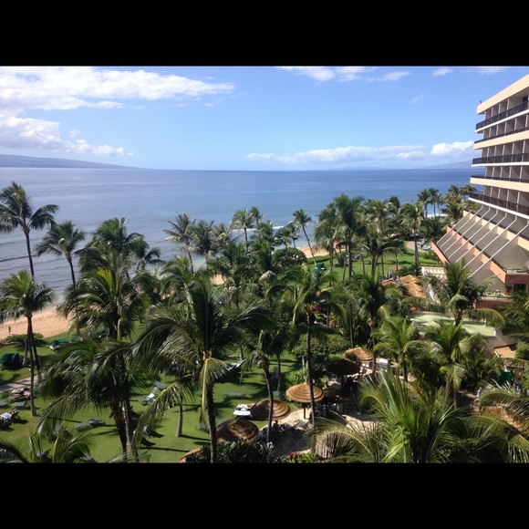 Meet your Posher, Kasha - Picture 1 of 1